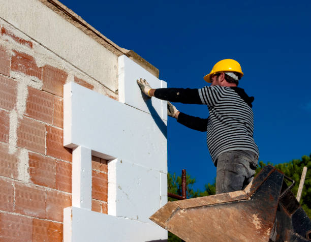 Best Insulation Replacement Services  in Glenview, IL